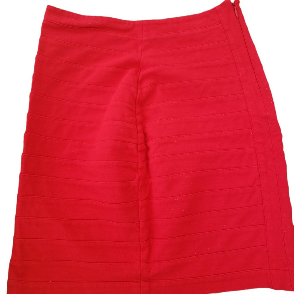 Express Mini Skirt - Picture 2 of 3